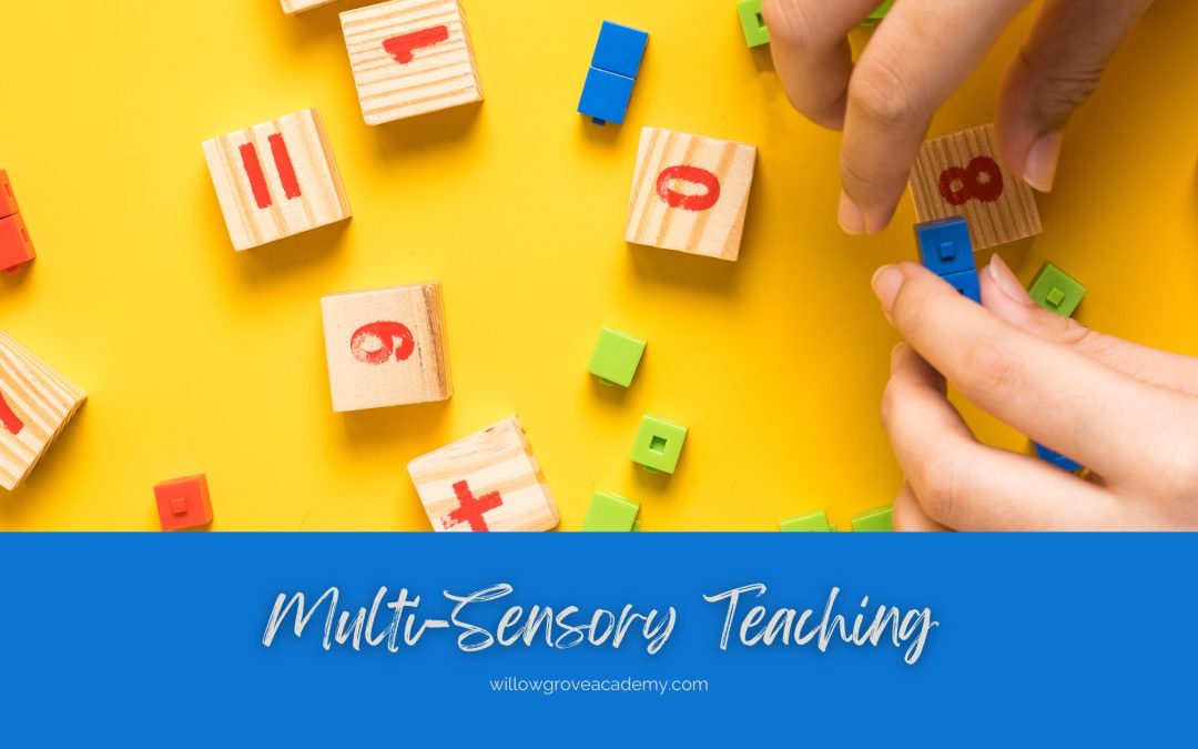 Multi Sensory Teaching   Willow Grove Academy