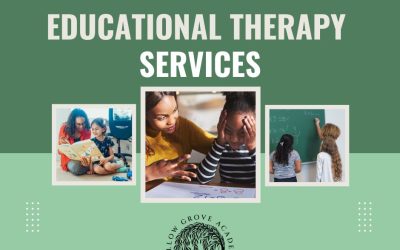 Does your child need educational therapy?