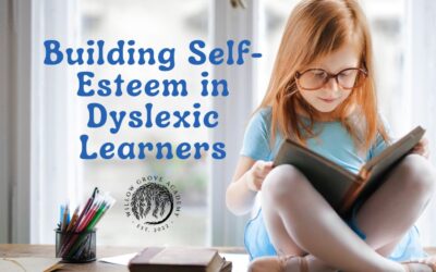 Building Self-Esteem in Dyslexic Learners