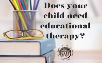 Does your child need educational therapy?