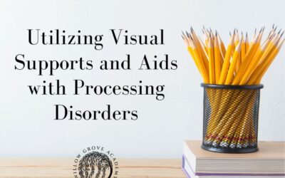 Utilizing Visual Supports and Aids with Processing Disorders