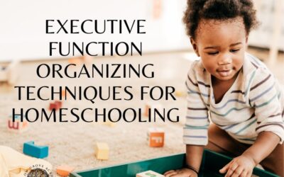 Executive Function Organizing Techniques for Homeschooling