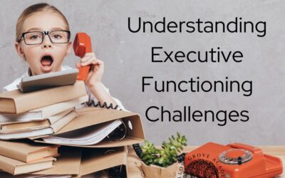 Understanding Executive Functioning Challenges