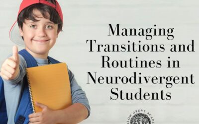 Managing Transitions and Routines in Neurodivergent Students